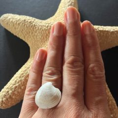 Kagyló gyűrű 